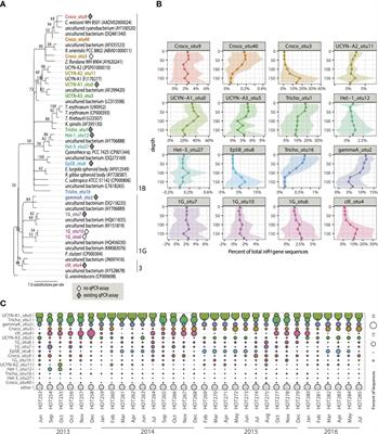Seasonal and spatial patterns in diazotroph community composition at Station ALOHA